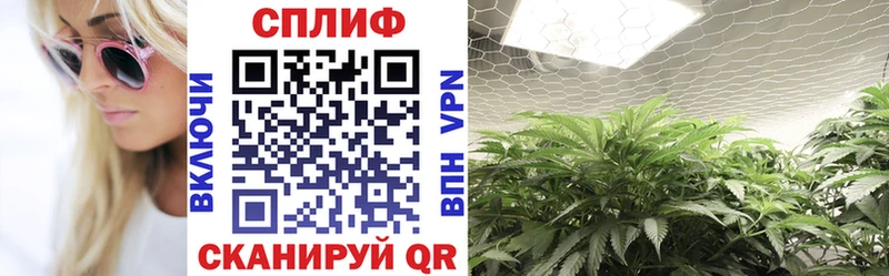 где продают   Красногорск  Канабис ГИДРОПОН 